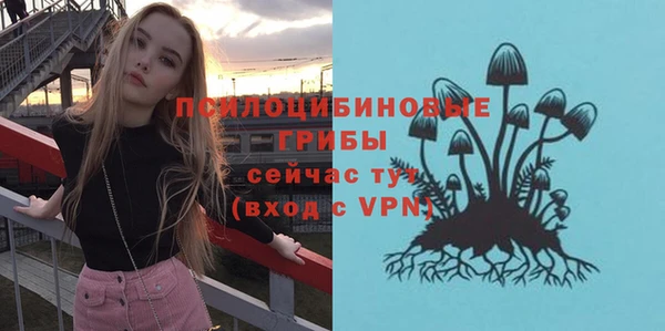 гидра Беломорск