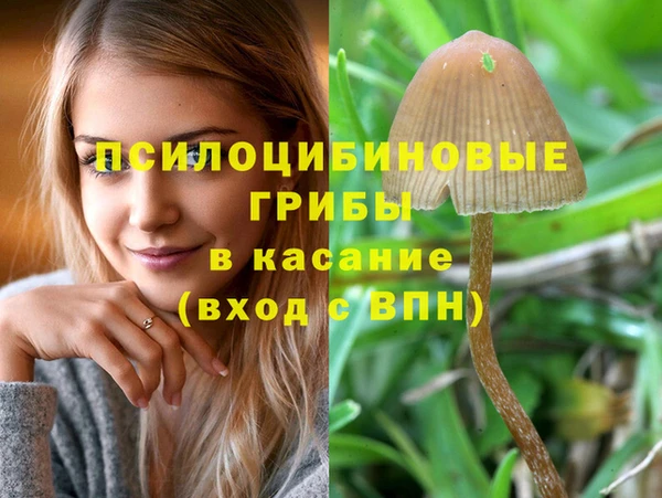 jwh Белокуриха