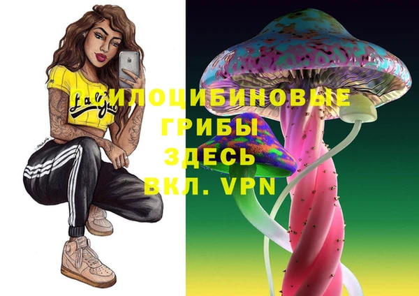 прущая мука Богородск
