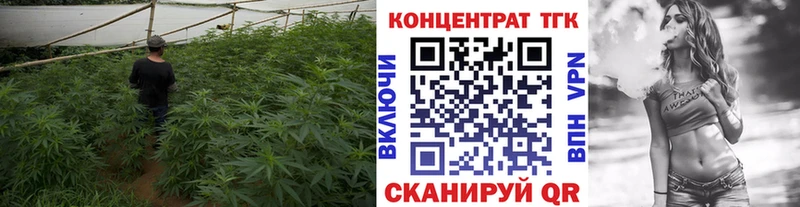 ТГК вейп с тгк Купить закладки Дивногорск