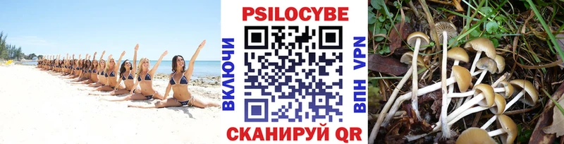 Галлюциногенные грибы мицелий  Купить  Дивногорск 